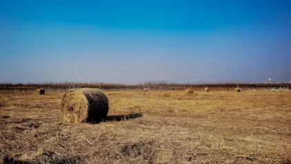 Winzinator Casino Mobilapp